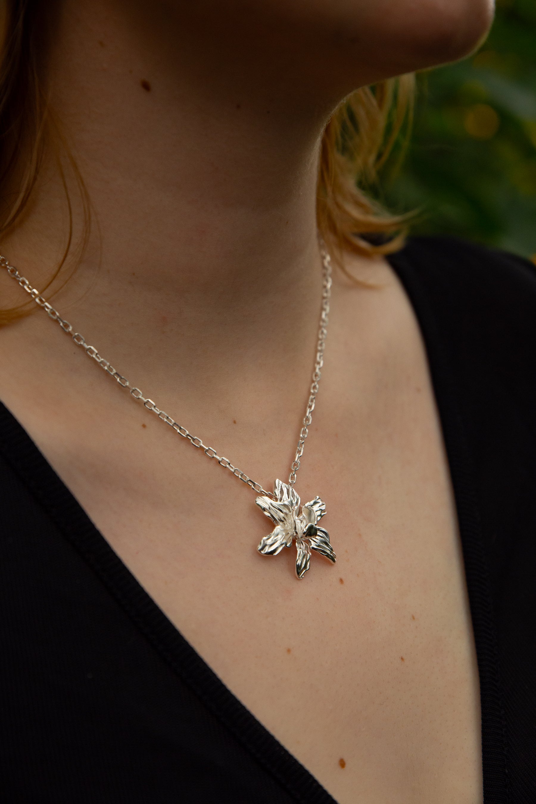 Orchid